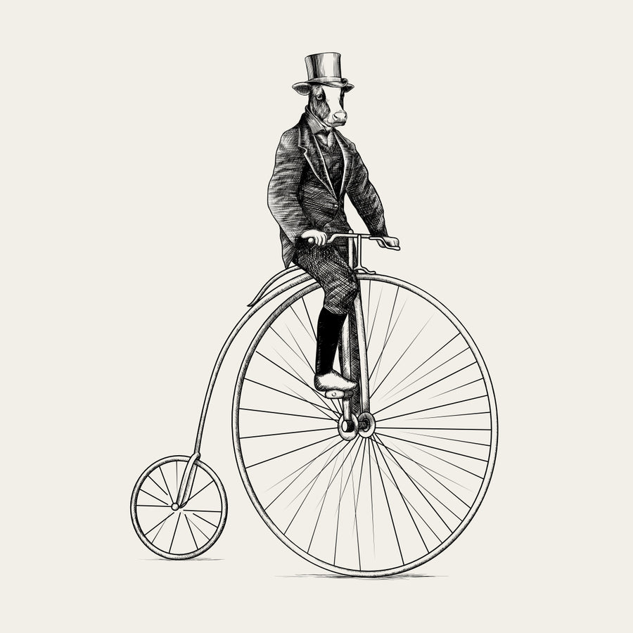 Vintage illustration of a cow riding a penny-farthing bicycle on a beige background
